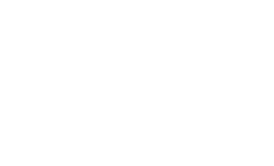 Pulsar Logo